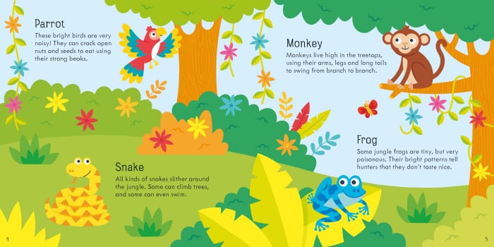 9781803704883 Usborne Jungle Dominoes Game [3]