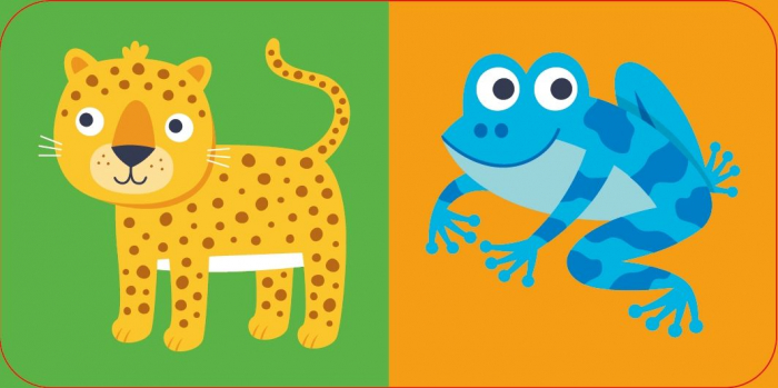9781803704883 Usborne Jungle Dominoes Game [6]