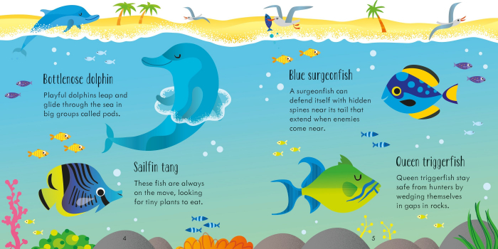 9781836040286 Usborne Under The Sea Matching Games [4]
