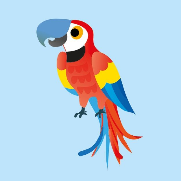 9781474999885 Animals Matching Games [4]