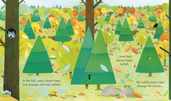 Carte cu clapete "Peep inside the Forest", Usborne [4]