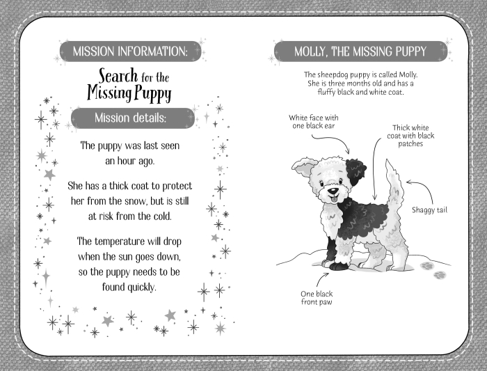 9781474974813 Usborne Snow Puppy [4]