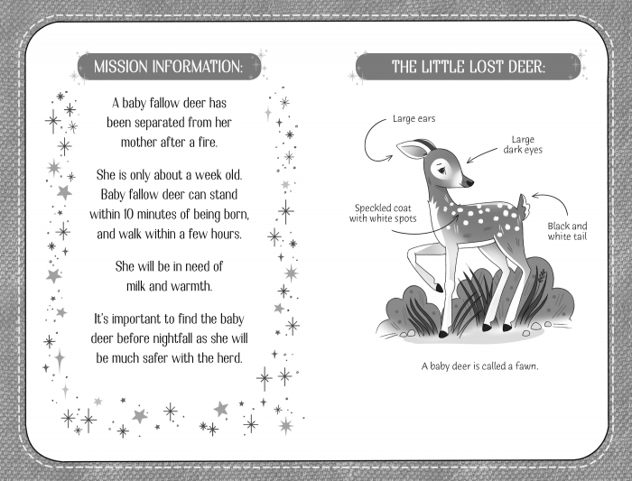 9781474974783 Usborne Little Lost Deer [4]