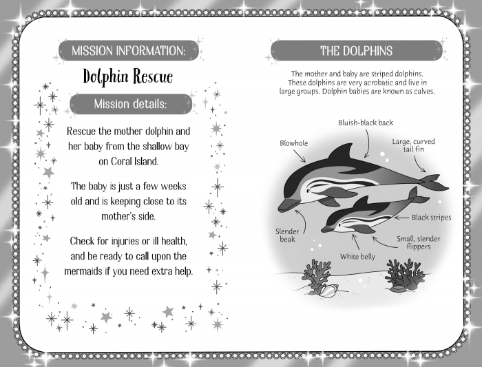 9781474989725 Usborne Dolphin Magic [3]
