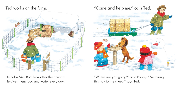 9780746063118 Usborne The Snow Storm [3]