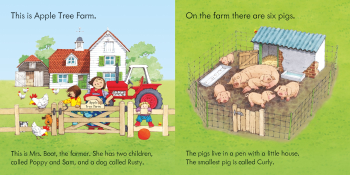 9780746063132 Usborne Pig gets stuck [2]