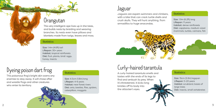 9781803704845  Usborne Book and Jigsaw Wild Animals [4]