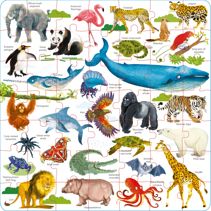 9781803704845  Usborne Book and Jigsaw Wild Animals [2]