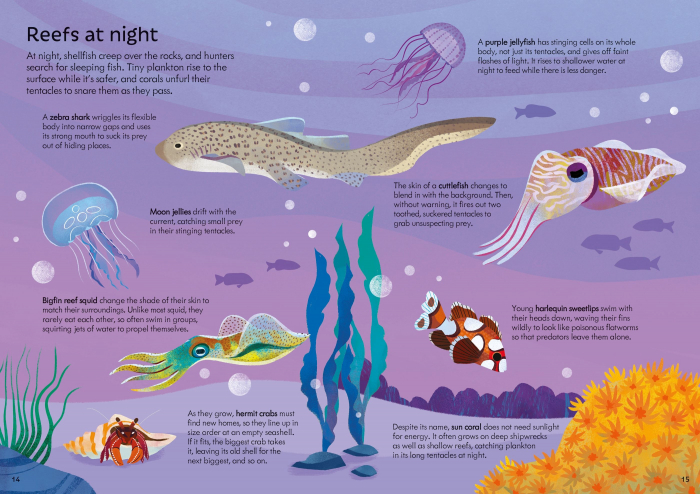9781803708195 Usborne Book and Jigsaw Coral Reef [6]