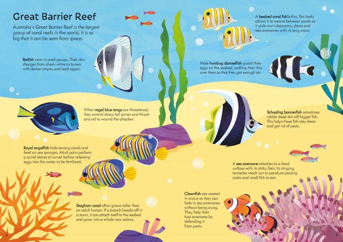 9781803708195 Usborne Book and Jigsaw Coral Reef [4]