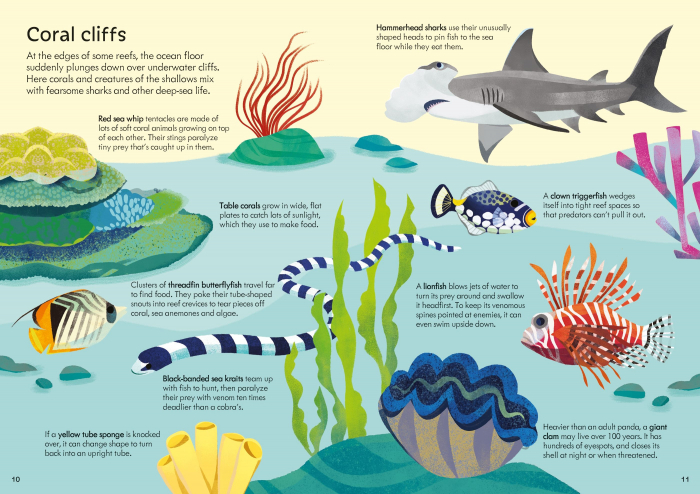 9781803708195 Usborne Book and Jigsaw Coral Reef [5]