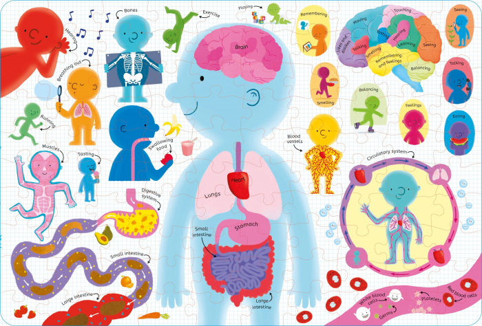9781474985291 Usborne Book and Jigsaw Human Body [2]