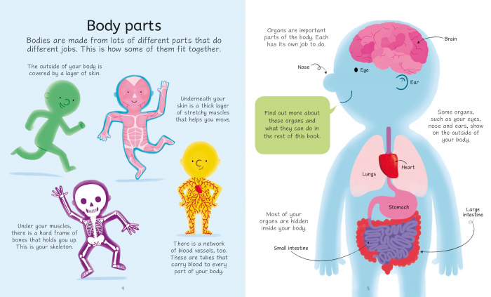 9781474985291 Usborne Book and Jigsaw Human Body [5]