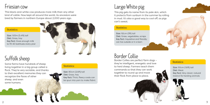 9781803704838 Usborne Book and Jigsaw Farm [4]