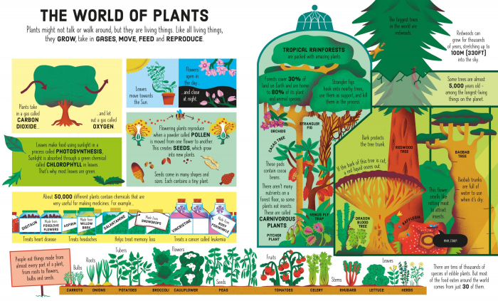 9781835401514 Usborne Usborne Book and Jigsaw: Tree of Life [4]