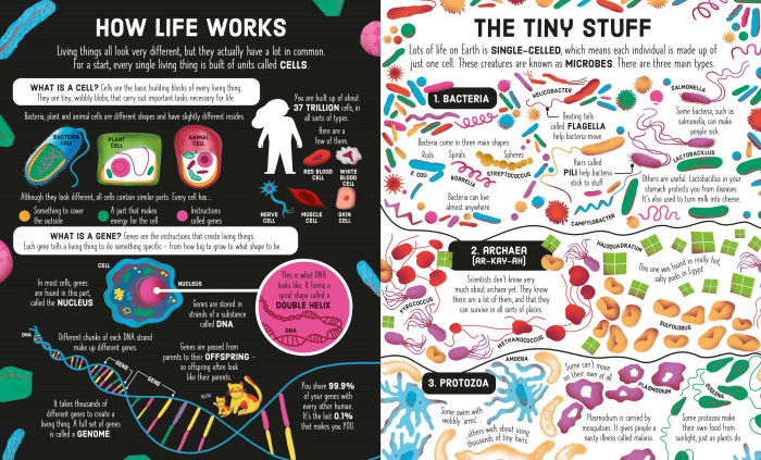 9781835401514 Usborne Usborne Book and Jigsaw: Tree of Life [5]