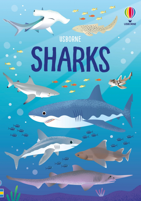 9781805079897 Usborne Book and Jigsaw Sharks [3]