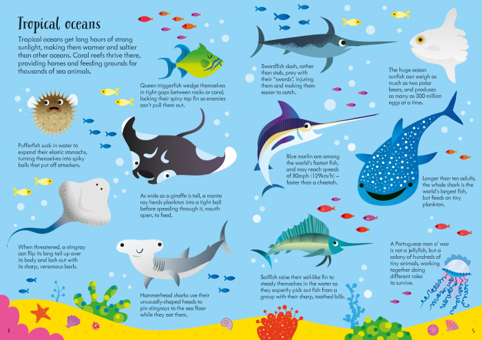 9781805072898 Usborne Book and Jigsaw Animals of the World [4]