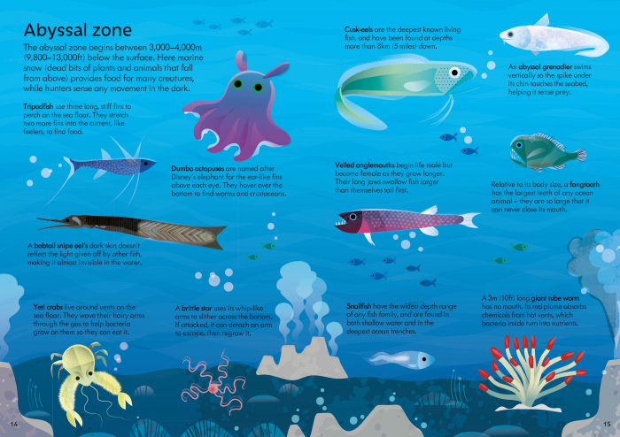 9781805077954 Usborne Book and Jigsaw Oceans [5]