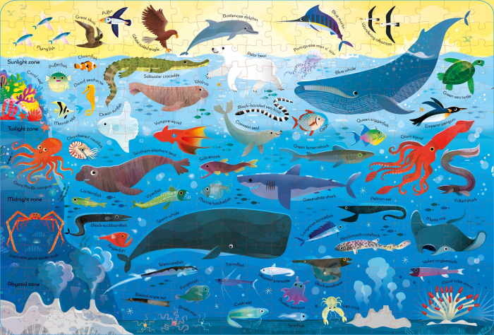 9781805077954 Usborne Book and Jigsaw Oceans [2]