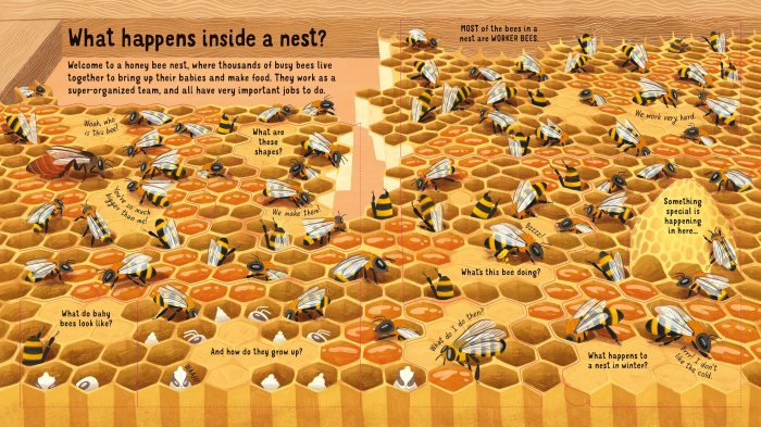 9781474983198 Usborne Look inside the world of bees [4]