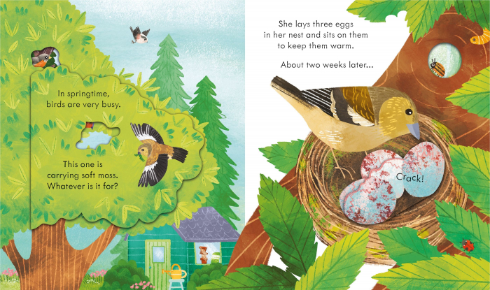 9781803704340 Usborne Peep inside springtime [2]