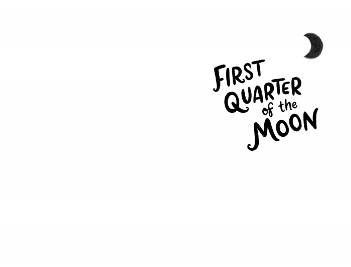 9781803704326 Usborne All Four Quarters of the Moon [2]