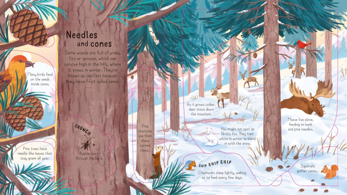 9781474968881 Usborne Look inside the woods [2]