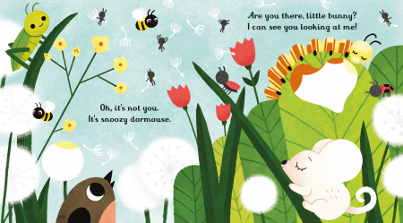 9781474945547 Usborne Are you there little bunny? [1]