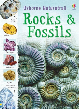 Enciclopedii - 9781409527695 Usborne Rocks and Fossils