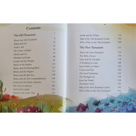 9781409580980 Usborne Illustrated Bible Stories [1]