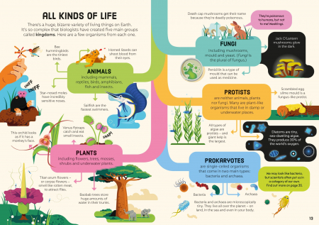 9781805076612 Usborne Biology for Beginners [5]