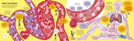 9781836040224 Usborne Big Book of The Body [3]