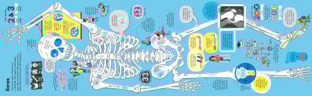 9781836040224 Usborne Big Book of The Body [2]