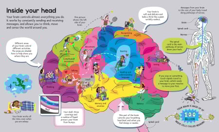 9781836040224 Usborne Big Book of The Body [5]