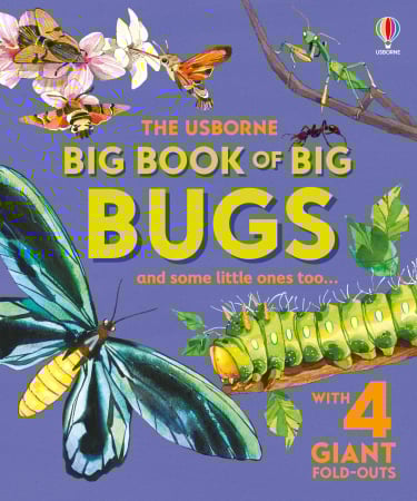 Carti copii - 9781836040255  Usborne Big Book of Big Bugs