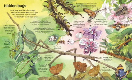 9781836040255  Usborne Big Book of Big Bugs [4]