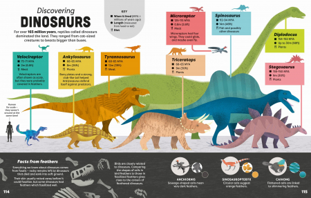 9781805071174 Usborne Big Book of Facts [5]