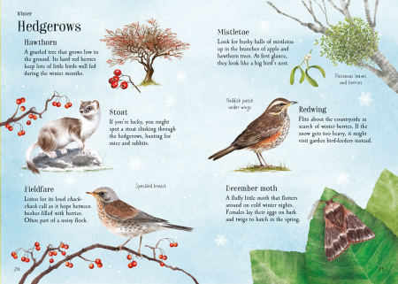 9781836042969 Usborne Lots of Things to Spot throughout the year [4]