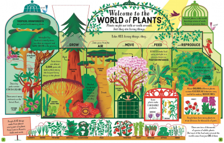 9781474969154 Usborne Lift-the-Flap Biology [2]