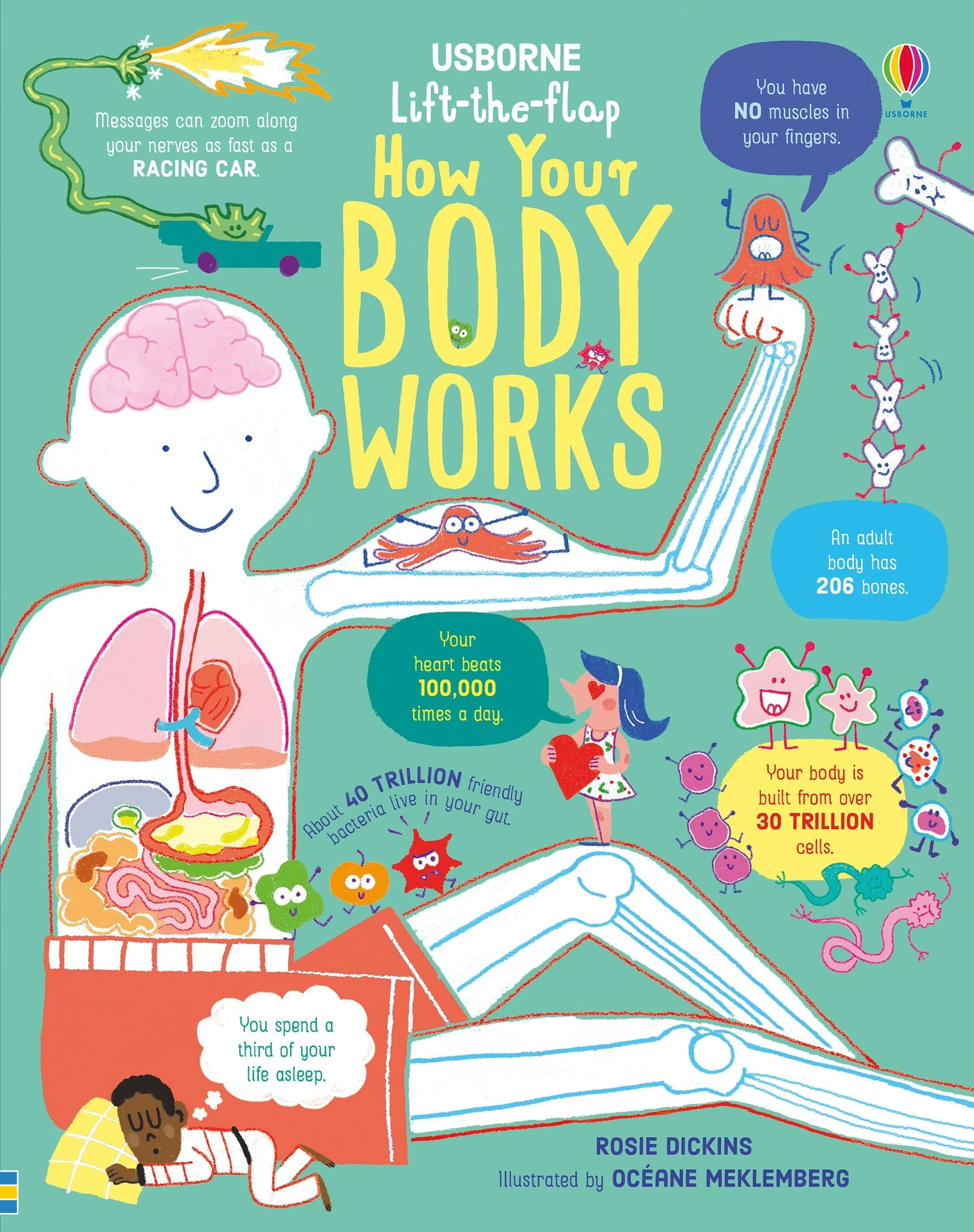 TEME populare - 9781474950732 Usborne Lift-the-Flap How Your Body Works