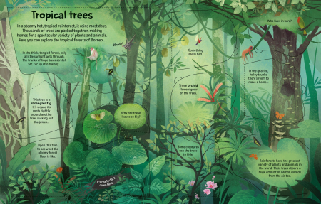 9781836044512 Usborne See Inside Trees [2]