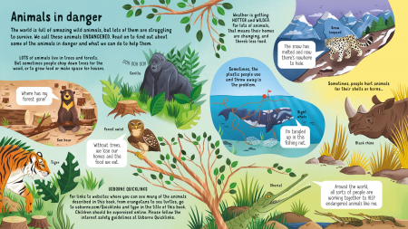 9781474999045 Usborne Look inside Animals in Danger [1]