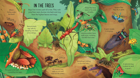 9781805074076 Usborne Look inside Bug World [1]
