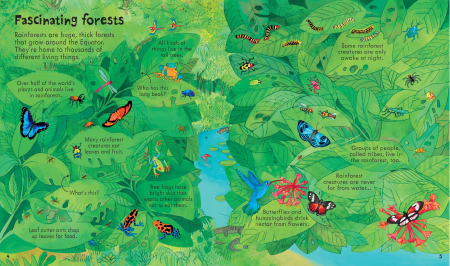 9781836045472 Usborne Look inside our world [1]