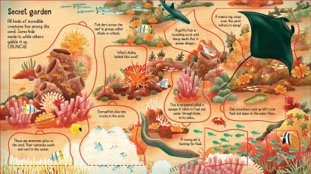 9781474998918 Usborne Look inside a Coral Reef [2]
