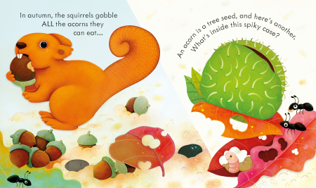 9781836044482 Usborne Peep Inside Autumn [1]
