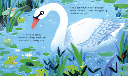 9781803703350 Usborne Peep Inside the Pond [3]