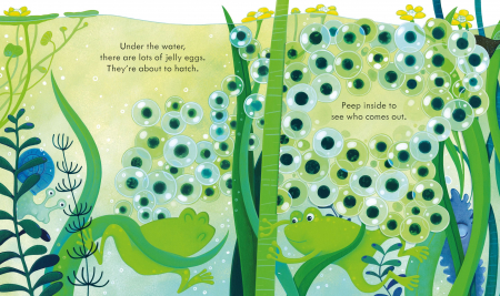 9781803703350 Usborne Peep Inside the Pond [1]