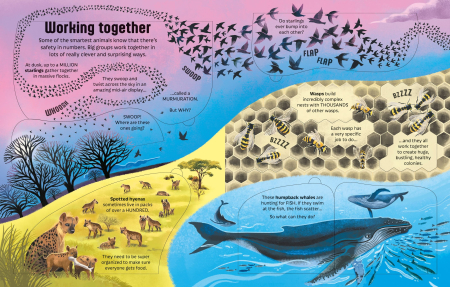 9781805074052 Usborne See inside Can Animals Think? [2]